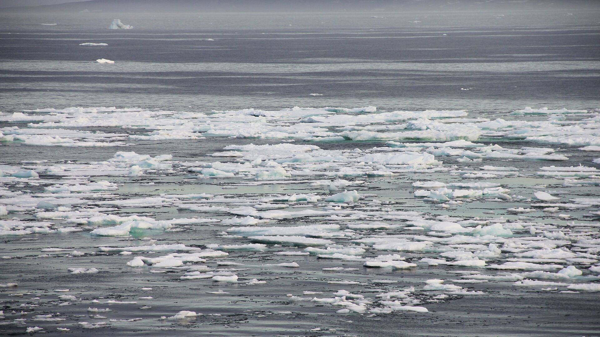 НАТО рассматривает сценарии конфликта с Россией в Арктике, заявила Захарова