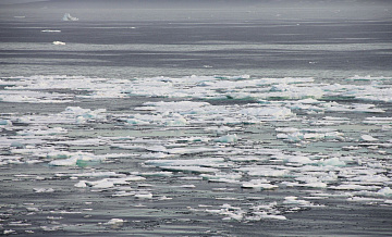 НАТО рассматривает сценарии конфликта с Россией в Арктике, заявила Захарова