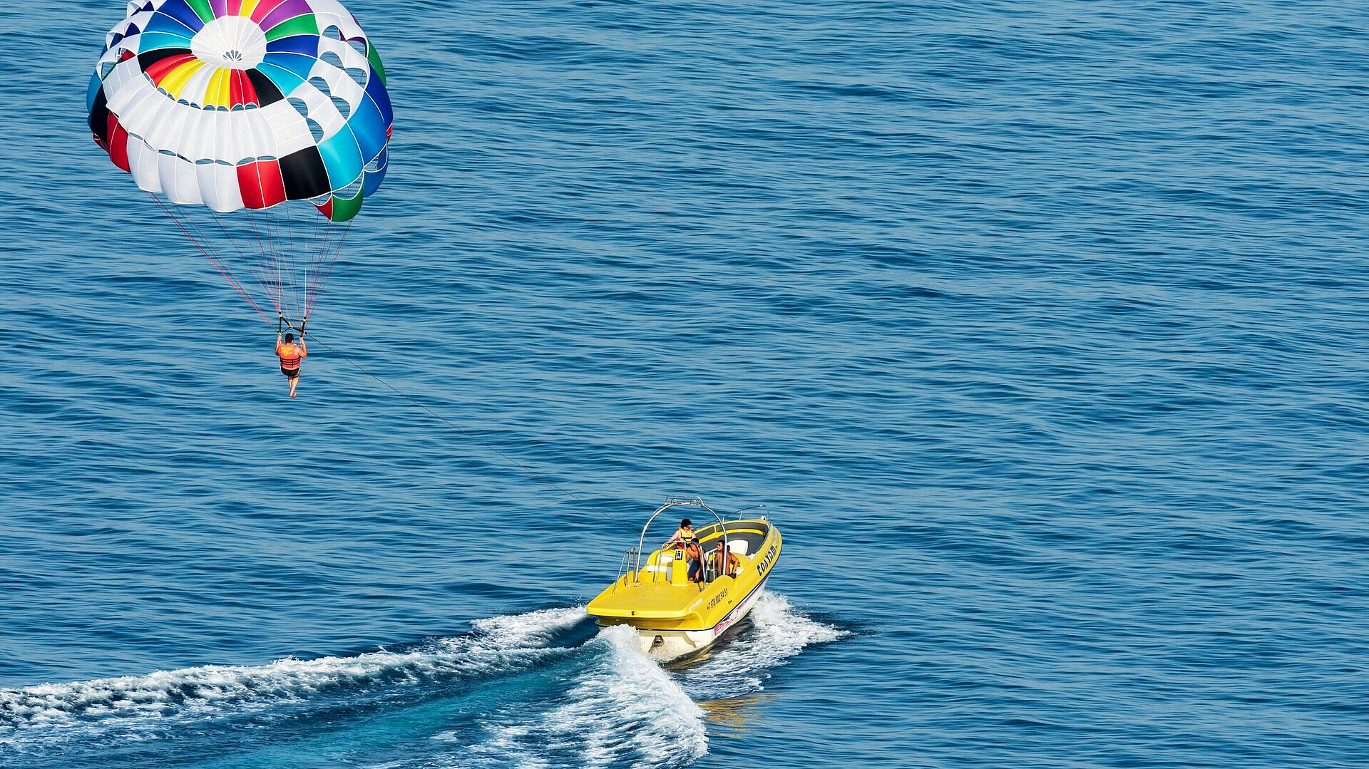 На Кубани отдых двух человек начался на море, а закончился на дереве
