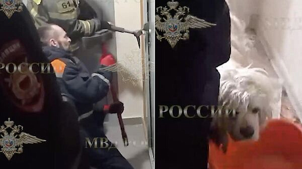 �������� ����� ���������� � �������� ������, ��������� �� �������� ��������