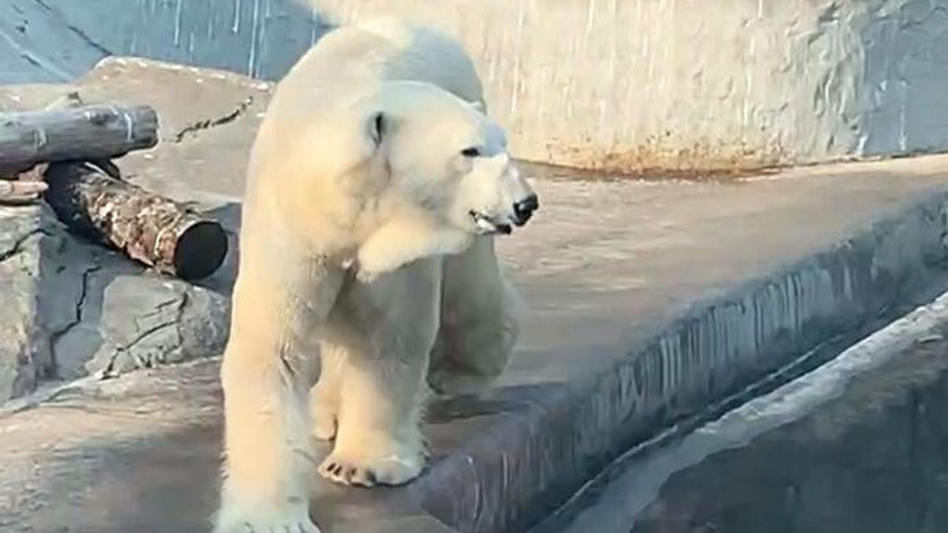 ������ ������� �� ����������� �������� ������� � ������ � ���������