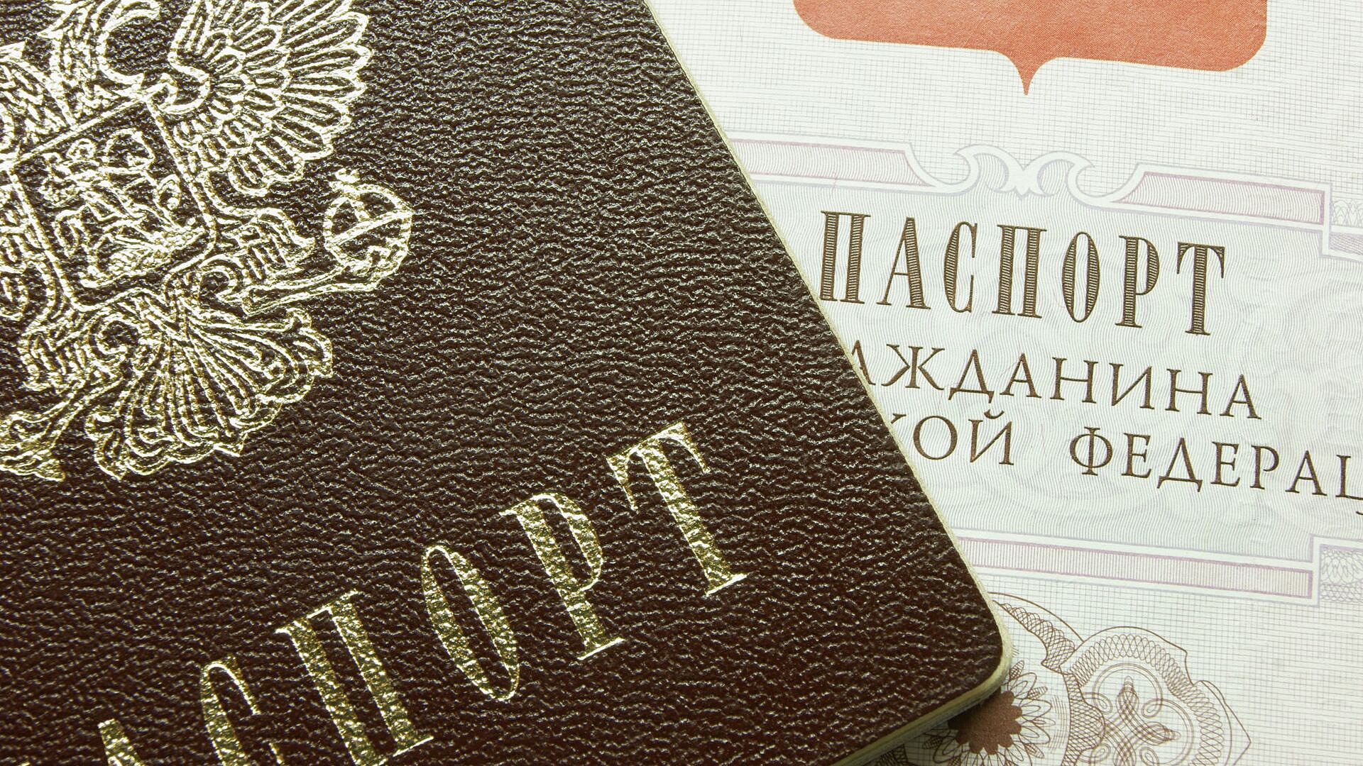 � ������ ��������� ������� ������ �����������