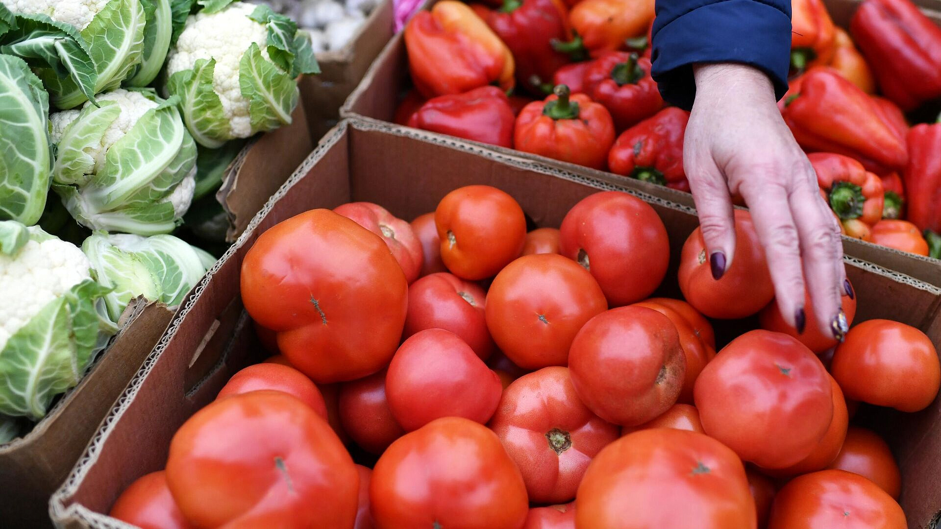 ���������� ���������������� ���������� � 150 �����