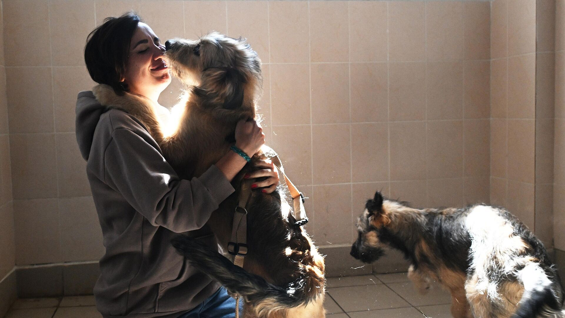 � ������ ���������, ������� ���������� �������� � ������� ��� ��������