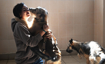 � ������ ���������, ������� ���������� �������� � ������� ��� ��������