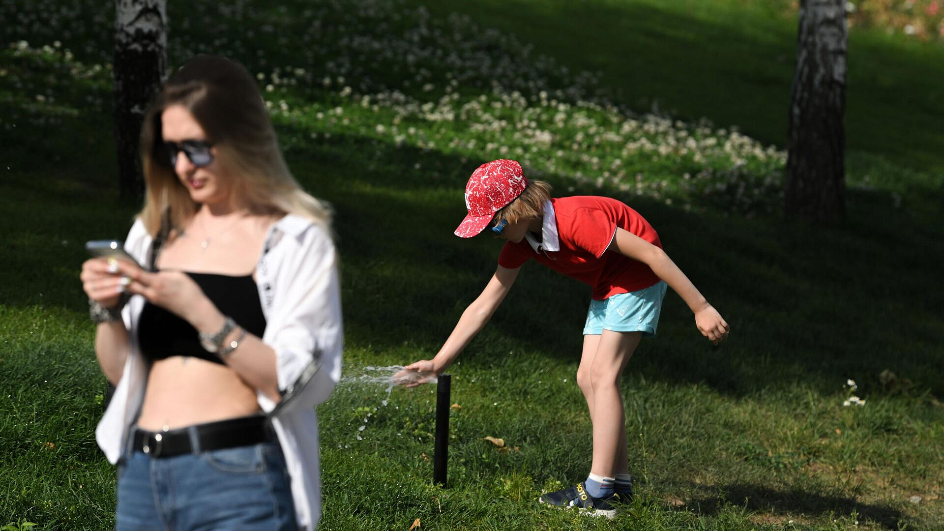 ������� ����������� ������ ��������� ����������� �������� ���� �� ��������