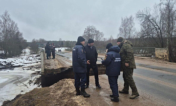 В Новгородской области обрушился мост