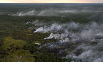 В России за сутки потушили 58 природных пожаров