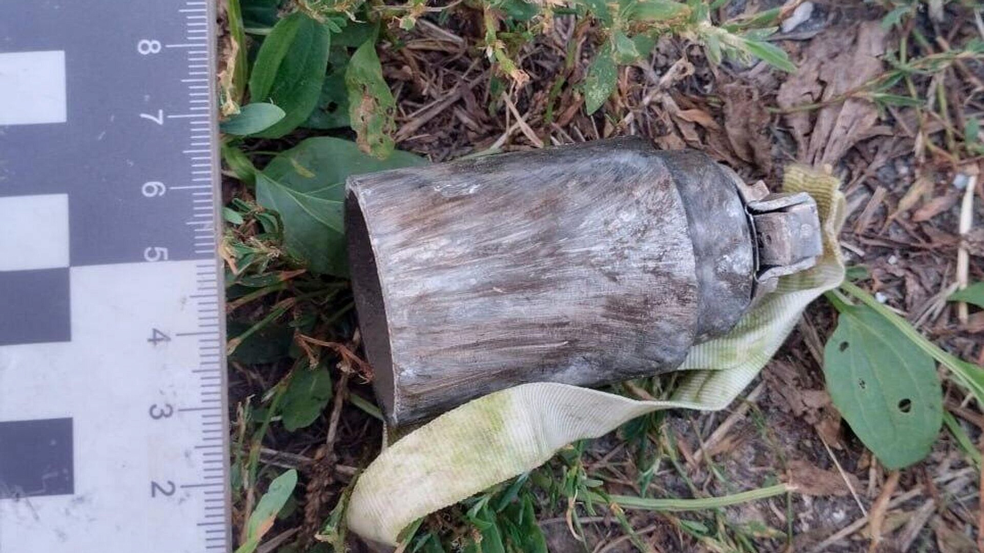 В севастопольском лесу уничтожили шесть западных суббоеприпасов