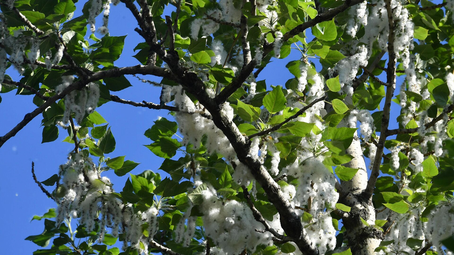 � ������ � ��������� ��� ��������� ��������� ������