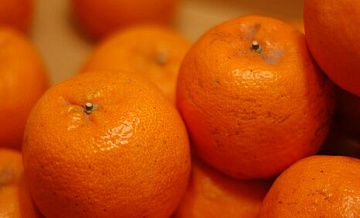 �������� ������� ����� ���� ���������� � �������������� ������