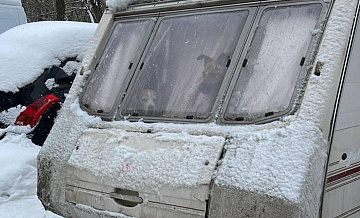 На севере Москвы нашли пять собак в запертом фургоне