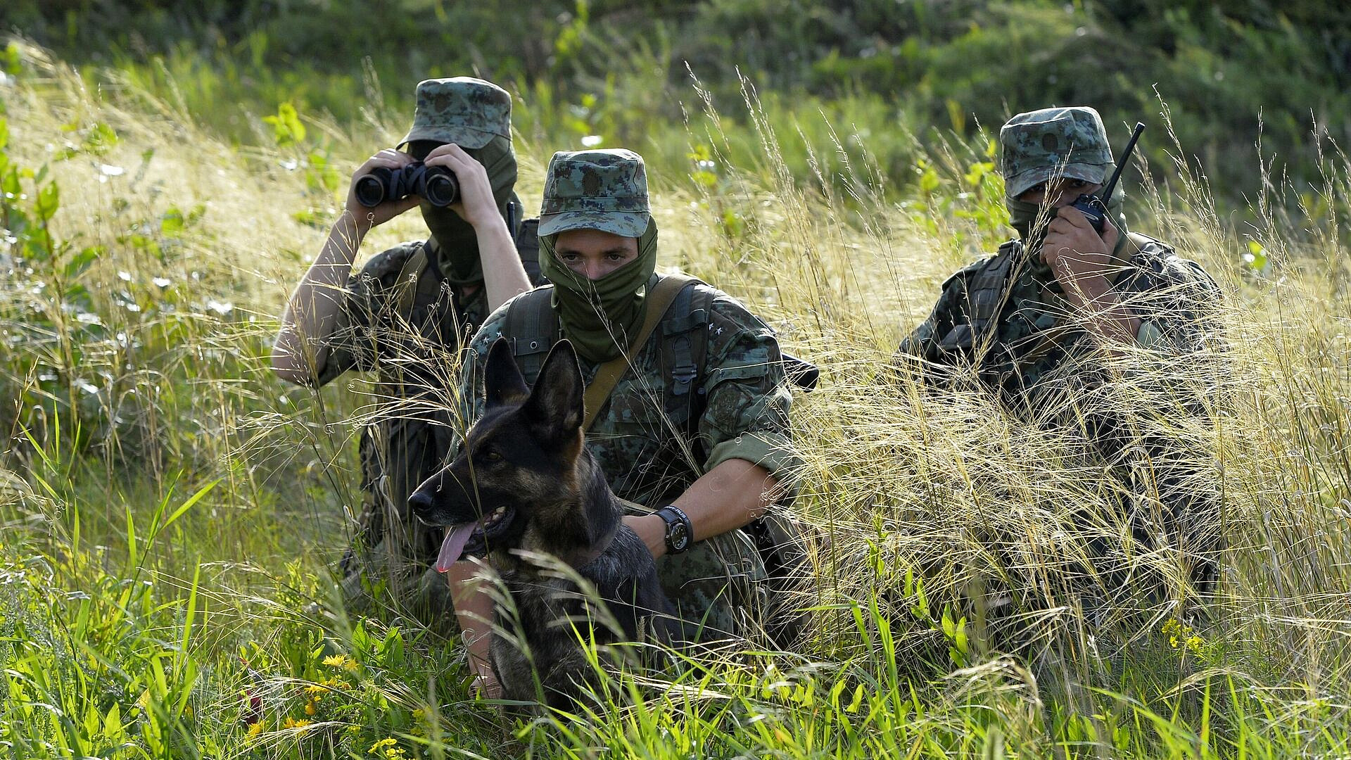 ������������ � 2023 ���� �������� ����������� �� ������������ ������