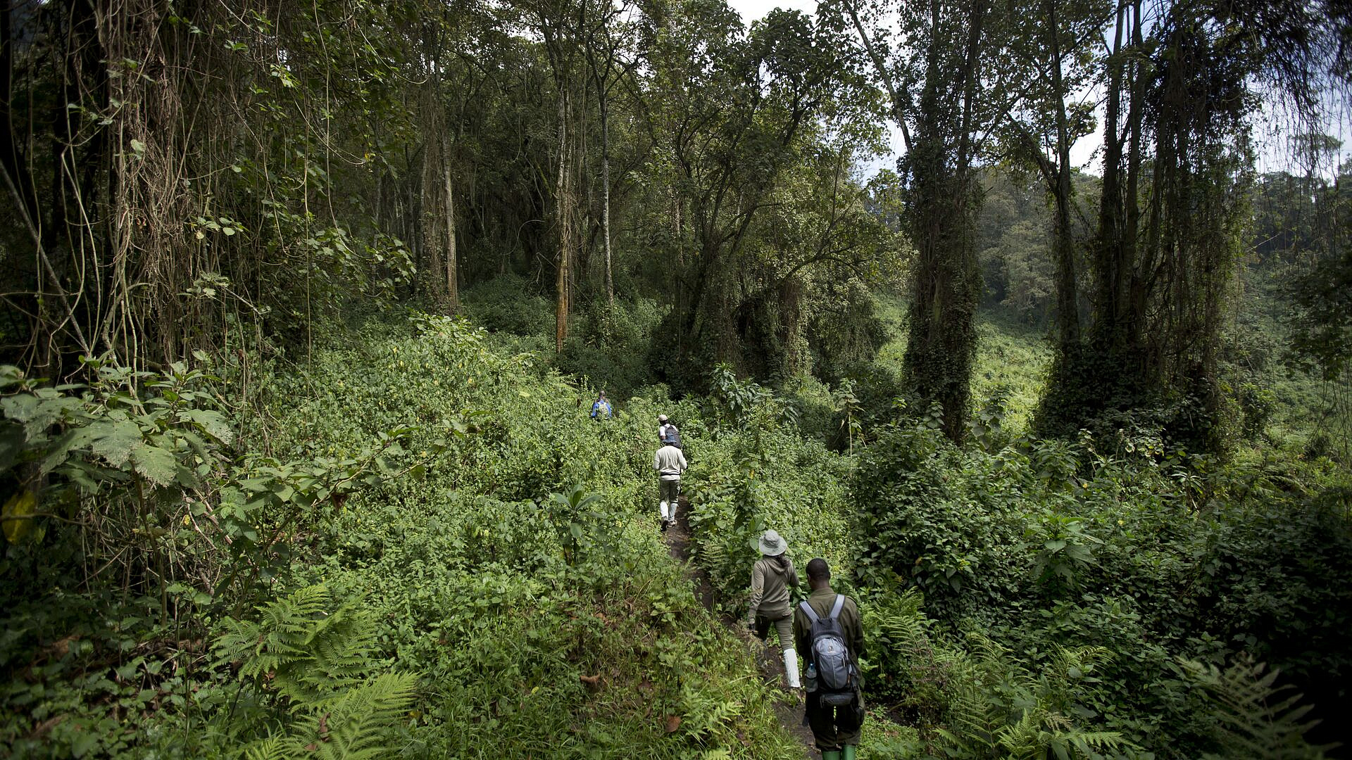 "������ ������": � ���� �������� ����� ����� ������� ����������