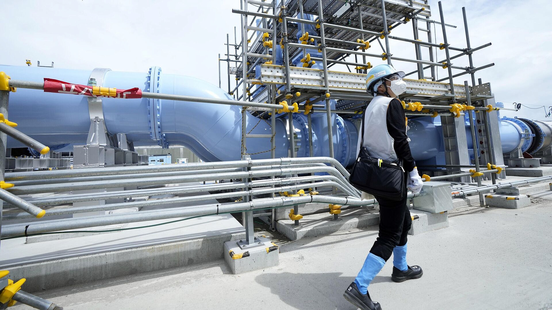 Уровень радионуклидов в рыбе после сброса вод с "Фукусимы" не вырос