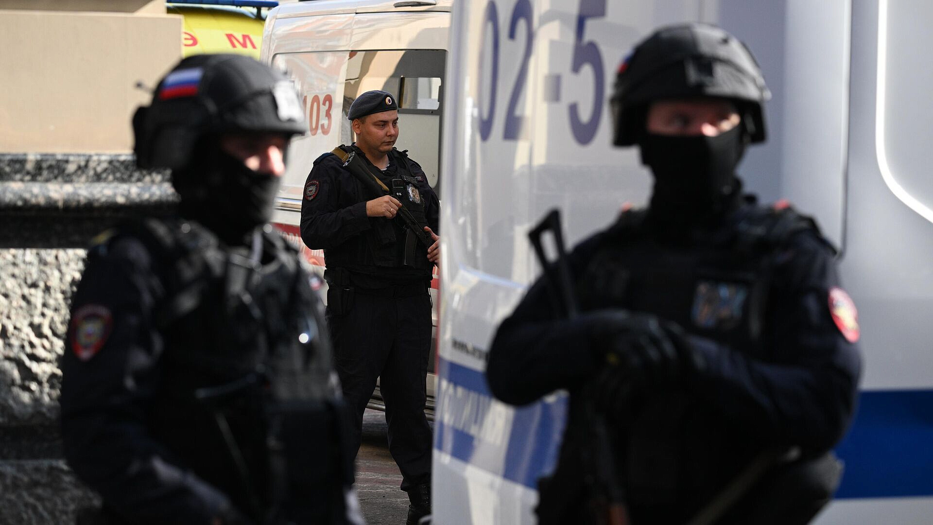 ���� �� 19 ���������� ���� � �������� � Wildberries �������� ����