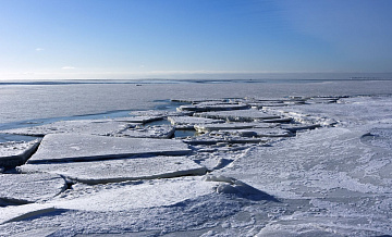 В Петербурге спасли рыбаков со льда Финского залива