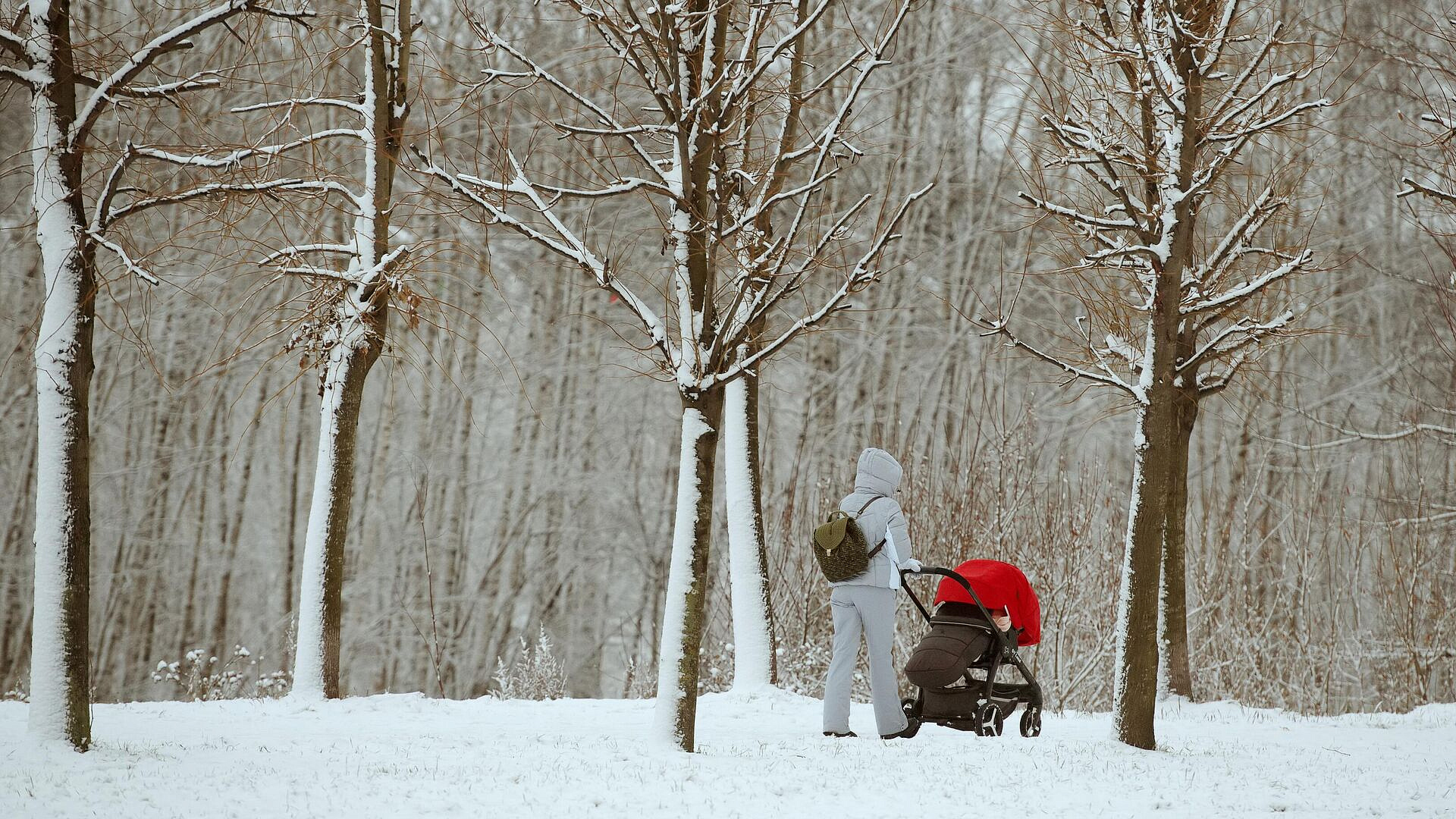 В Госдуме предложили повышать маткапитал за каждого следующего ребенка