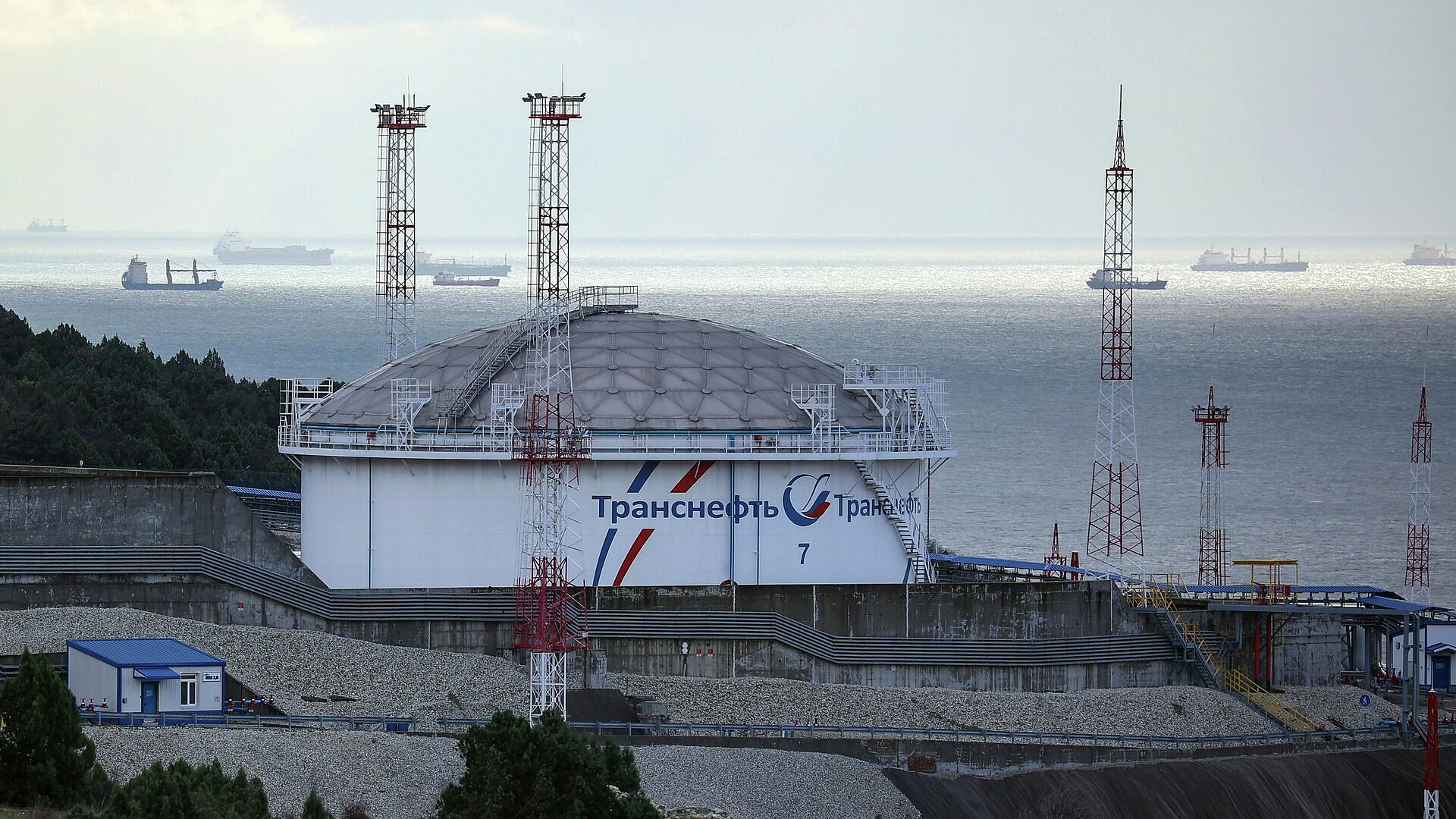 Замглавы Новороссийска задержали 