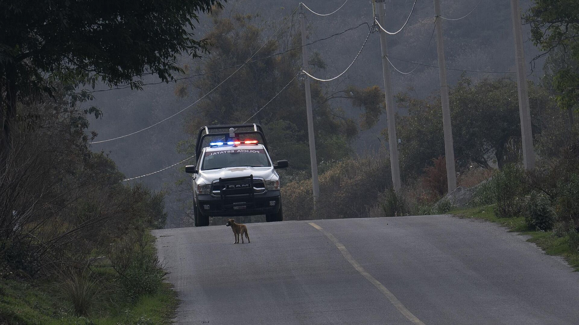 СМИ: на границе США и Мексики нашли трупы в армейской одежде