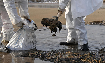 На Кубани увеличилась протяженность загрязненной мазутом береговой полосы