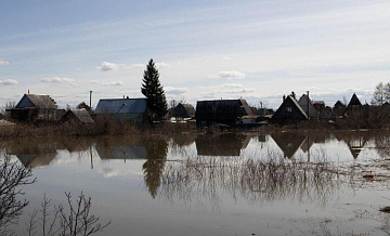 В Кургане снова начала расти вода