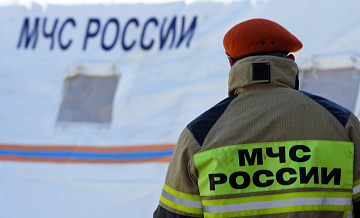 Эвакуированных из-за пожара жителей Ленинградской области доставили домой
