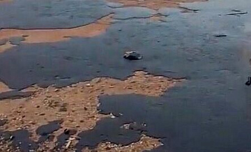 Эксперт рассказал о последствиях вылившегося в Черное море мазута