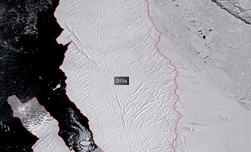 "���������" ����������� ���� ������ �������� ��������