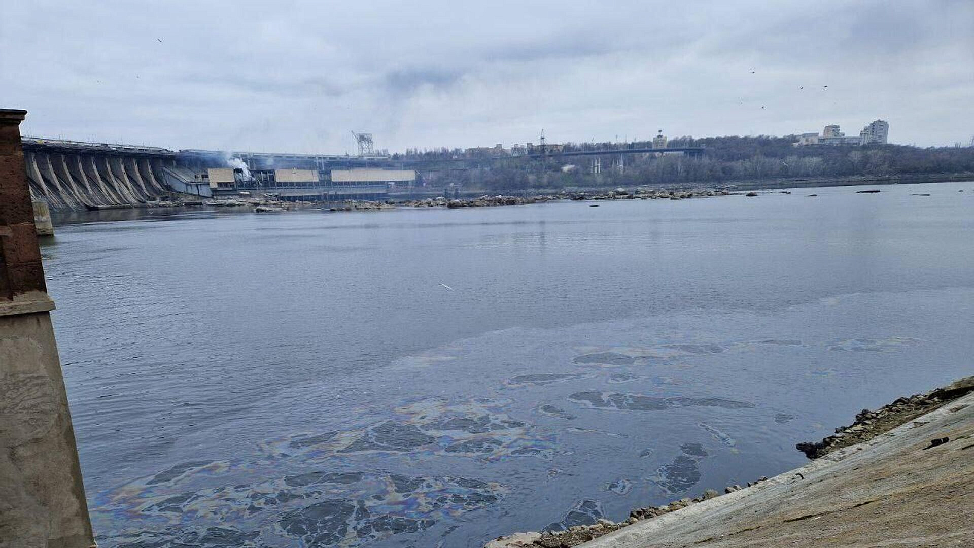 ������ ���������, ��� ���� ����������� � ������� �� ������ ���� � ���������