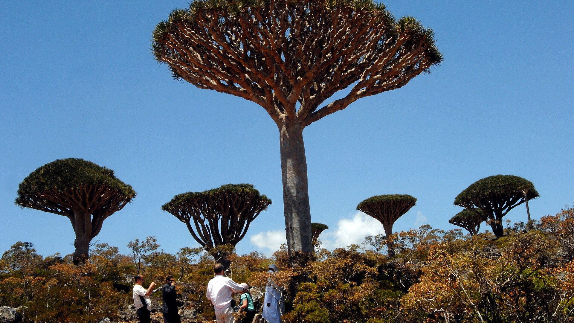 ����� 300 ��������, ������� �������, �������� �� ��������� �������