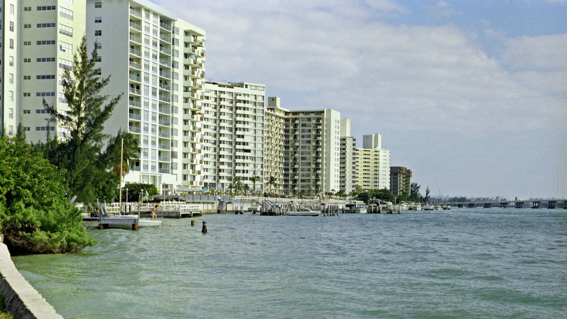 ��� ������������ �����������, ����� ������������� ����������