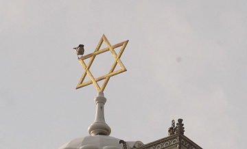 В Роттердаме подожгли синагогу, власти считают это антисемитской атакой