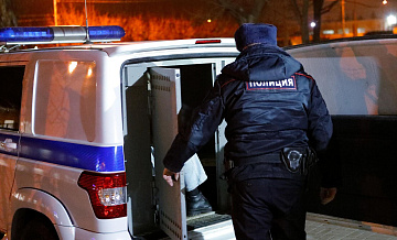В Подмосковье завели дело после поджога кабинки для голосования 