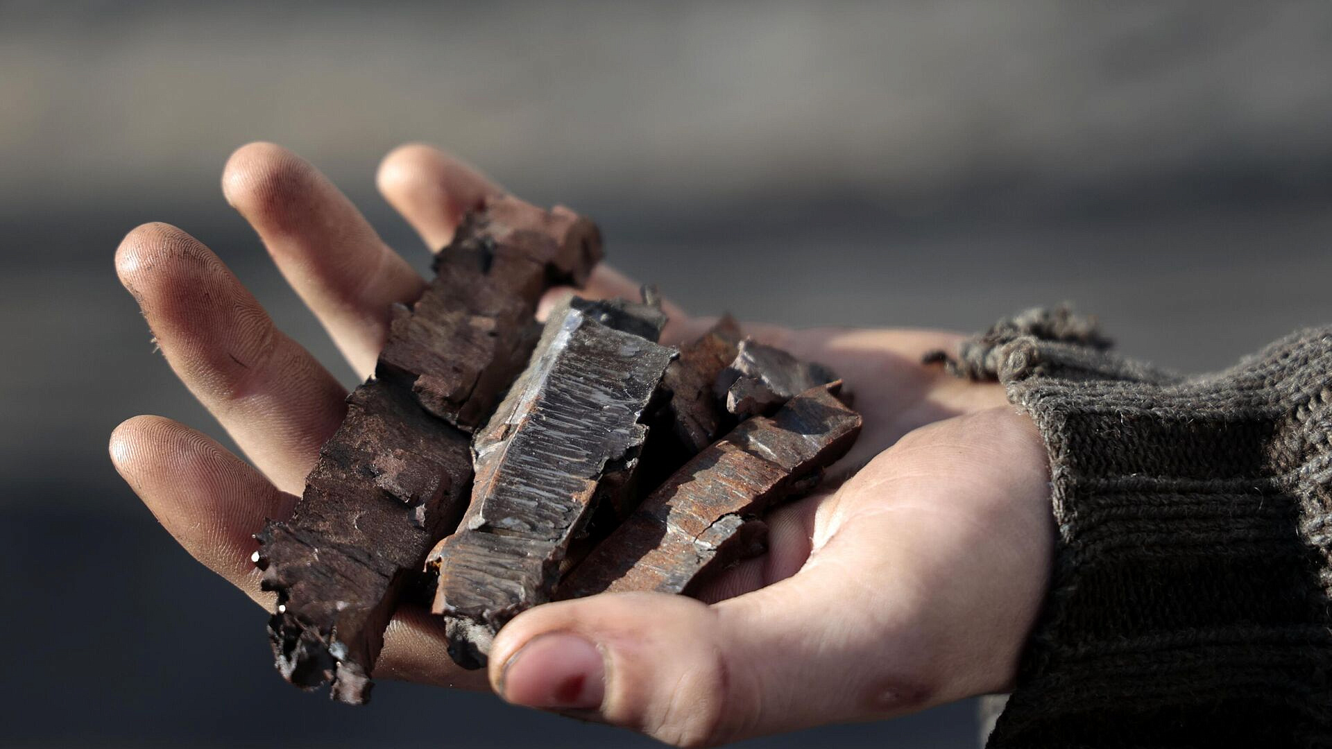 ���������� ������ ���������� ����� �������� �� ����