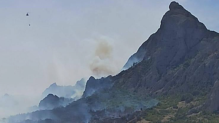 Пожар в крымском Коктебеле локализовали