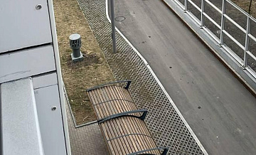 Суд вынес приговор блогеру из Москвы, выбросившему кота с четвертого этажа