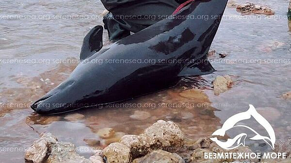 ����� 200 ��������� ��������� �� ����� � ����� � ������ ����