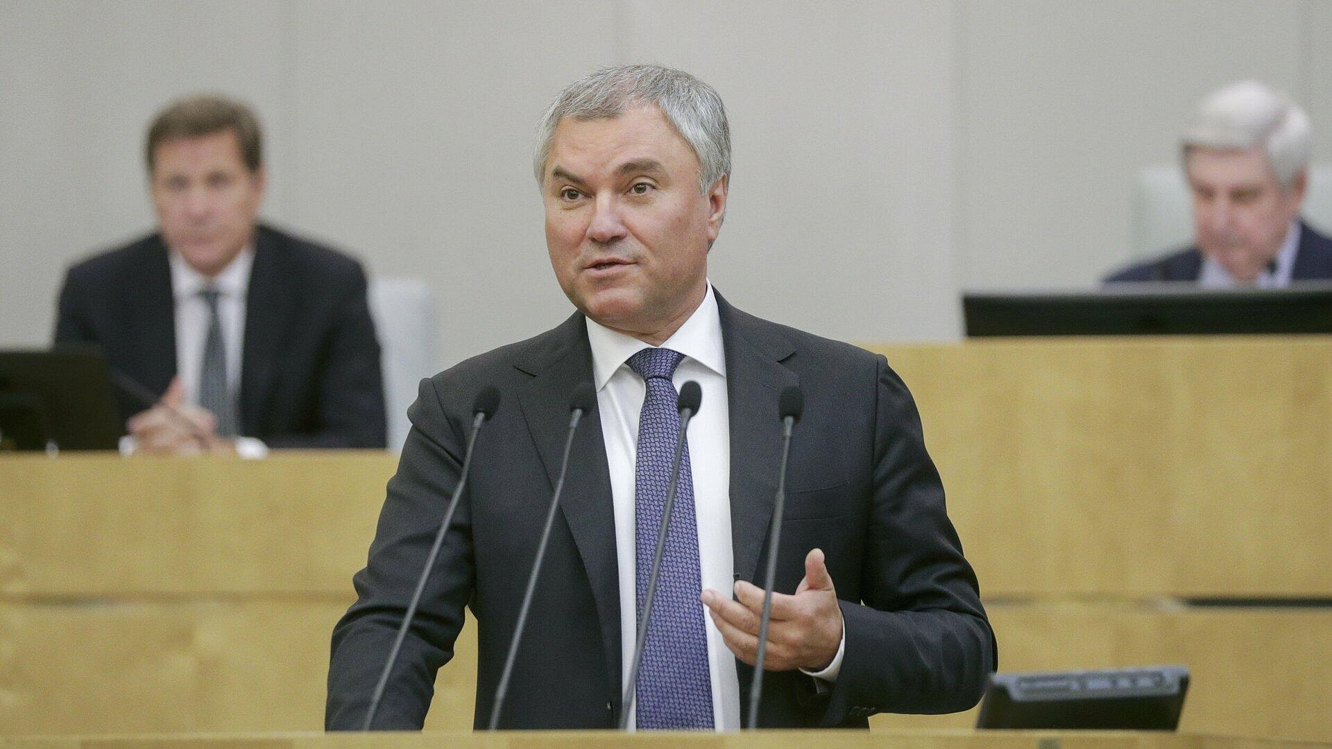 Володин прокомментировал закон о запрете продажи вейпов