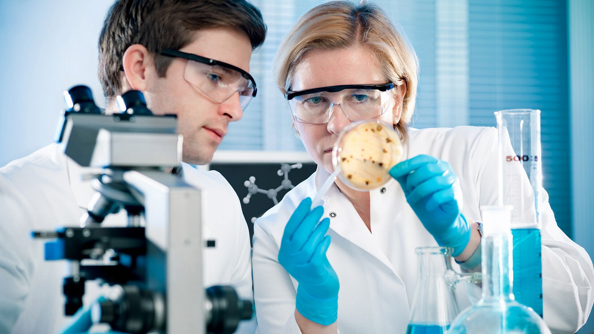 Сибирские ученые нашли центры управления терморегуляцией человека