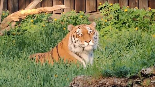 � ���������� �������� ������� ������ �������� ������ ���� ��������