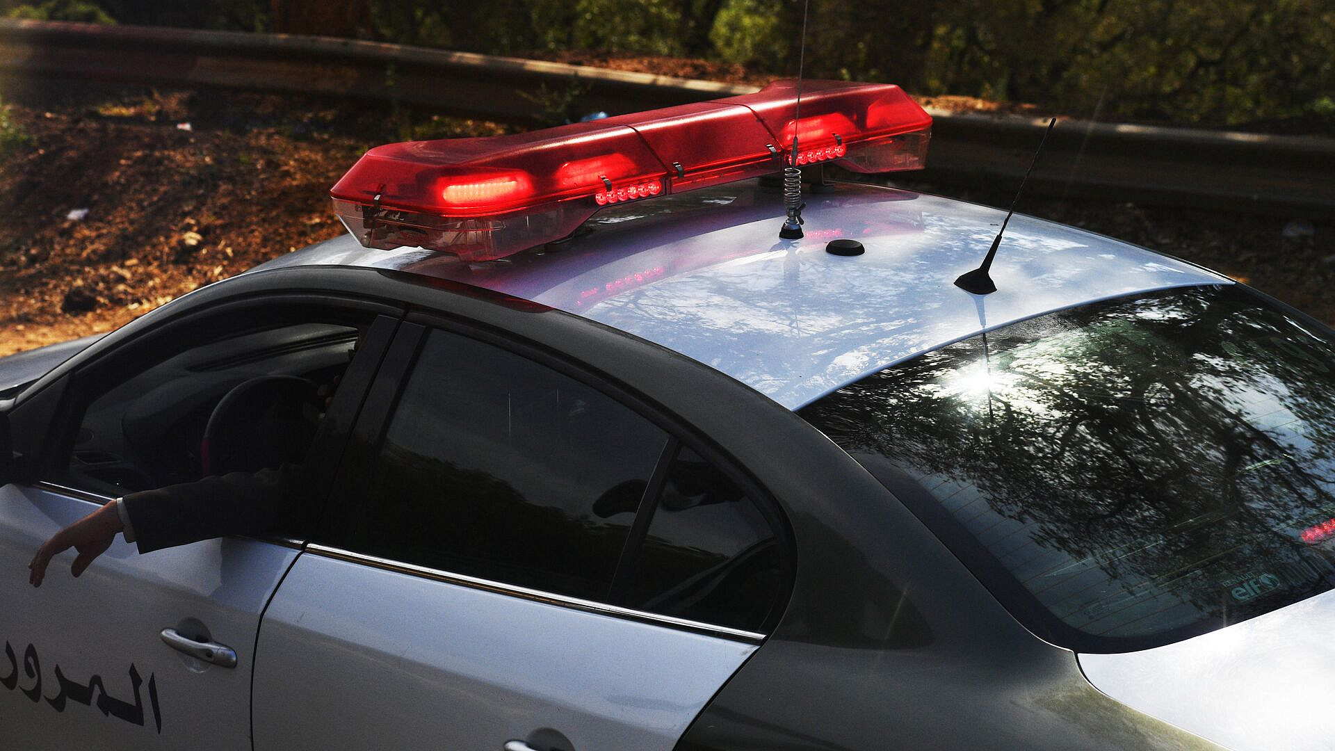 ��������� ����������� � ����������� � ������ ���������