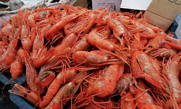 Более 500 килограмм морепродуктов и чёрной икры изъяли у жителя Приморья