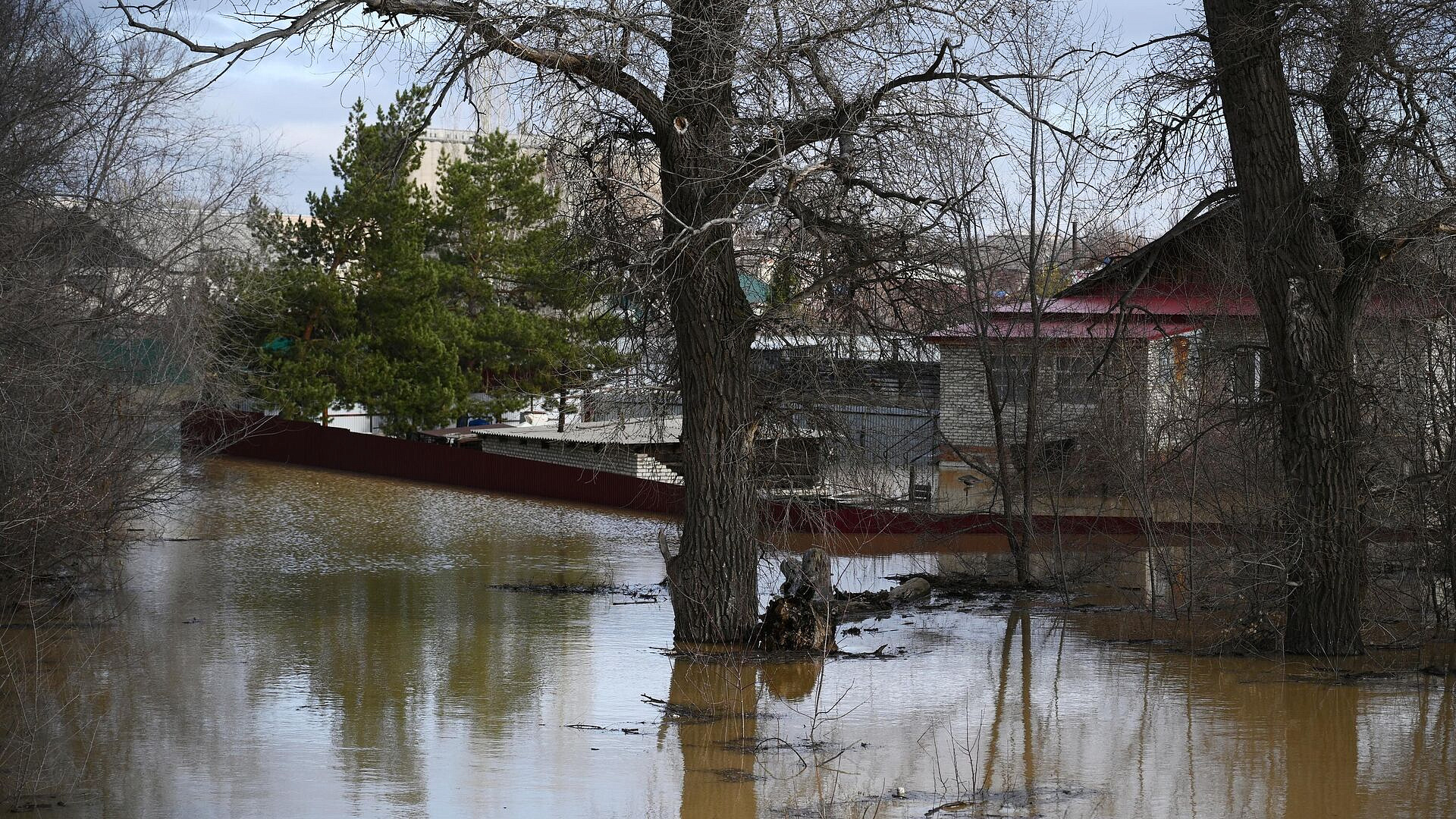 ��� ��������� ���� �������� ������ � ����������� ���������� ������