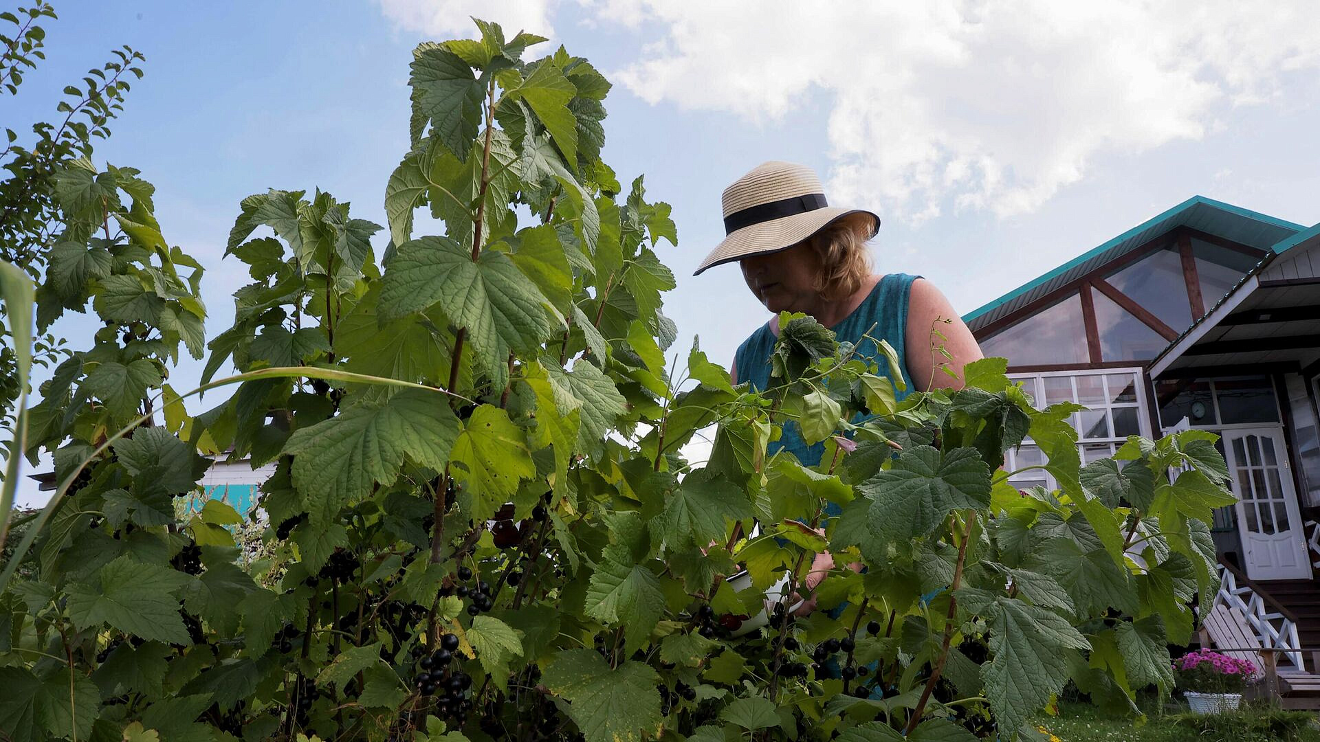 ��������, ����� �� ������ �� ���� ����� �����������