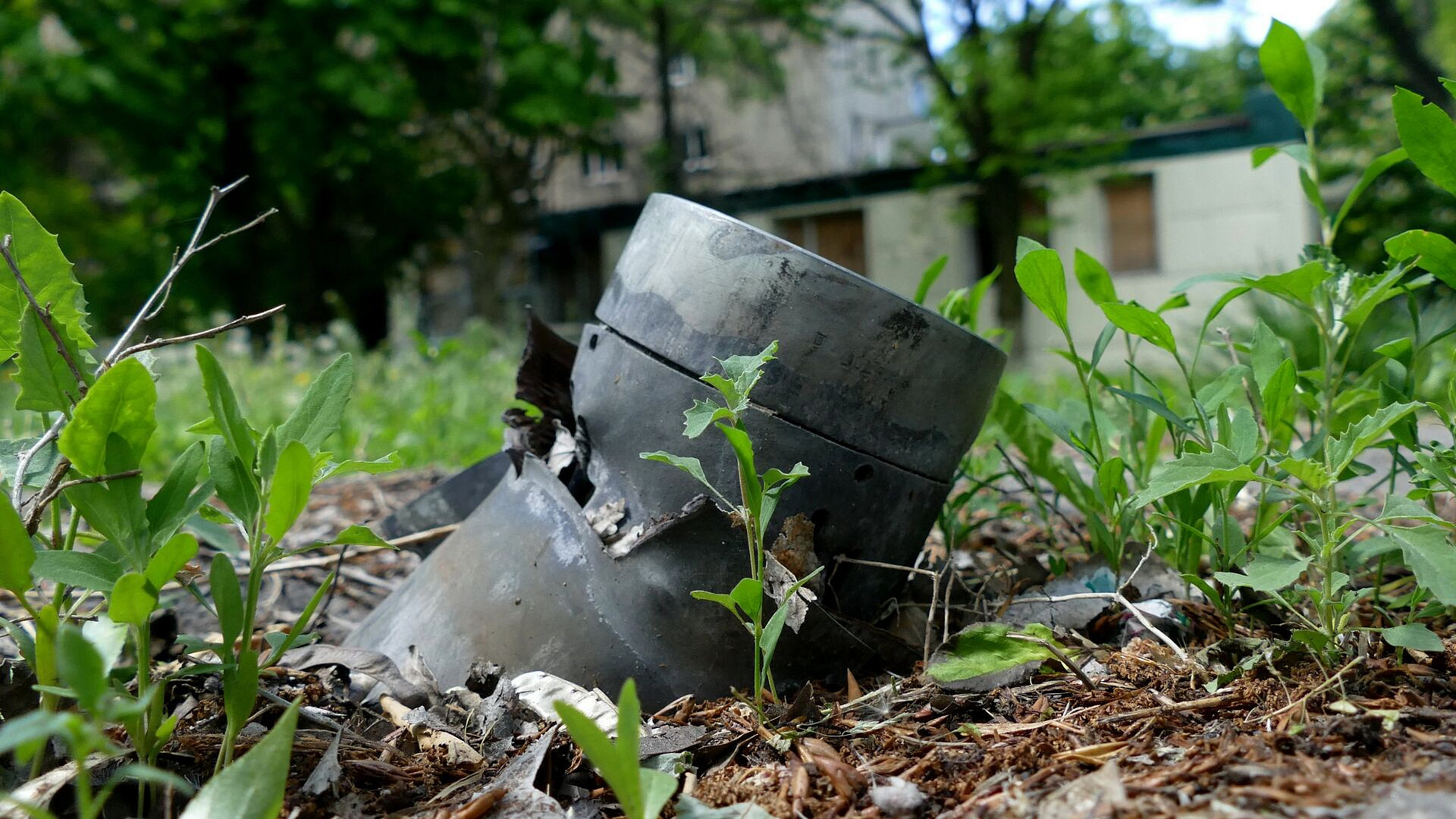 ��� �������� �������� ���������� �������