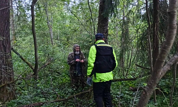 В Подмосковье нашли пропавшего 90-летнего грибника