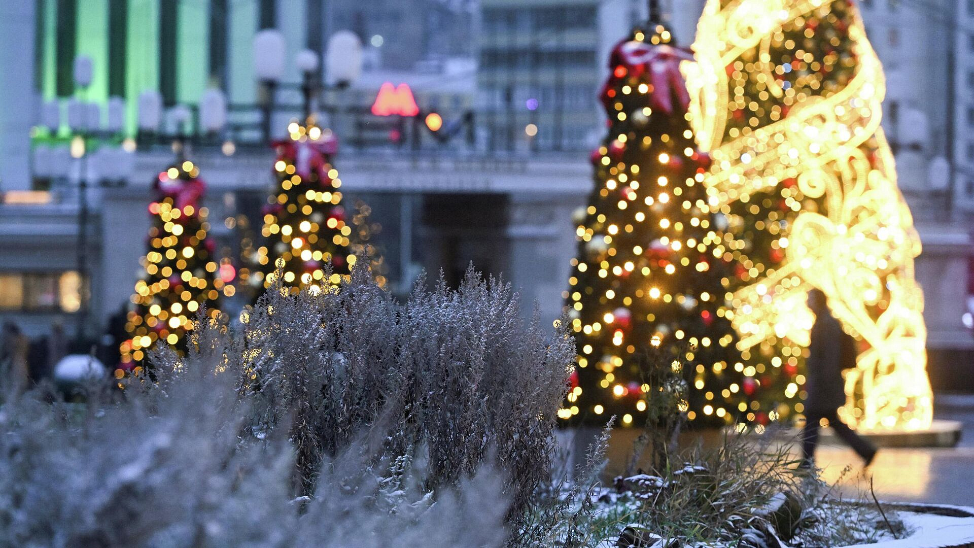 �������� ���������� � ������ �� ����� ��� � ������