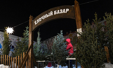 Россияне в этом году реже покупали живые елки, показало исследование