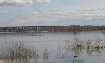 Москалькова назвала число людей, проживающих в ПВР в Курганской области